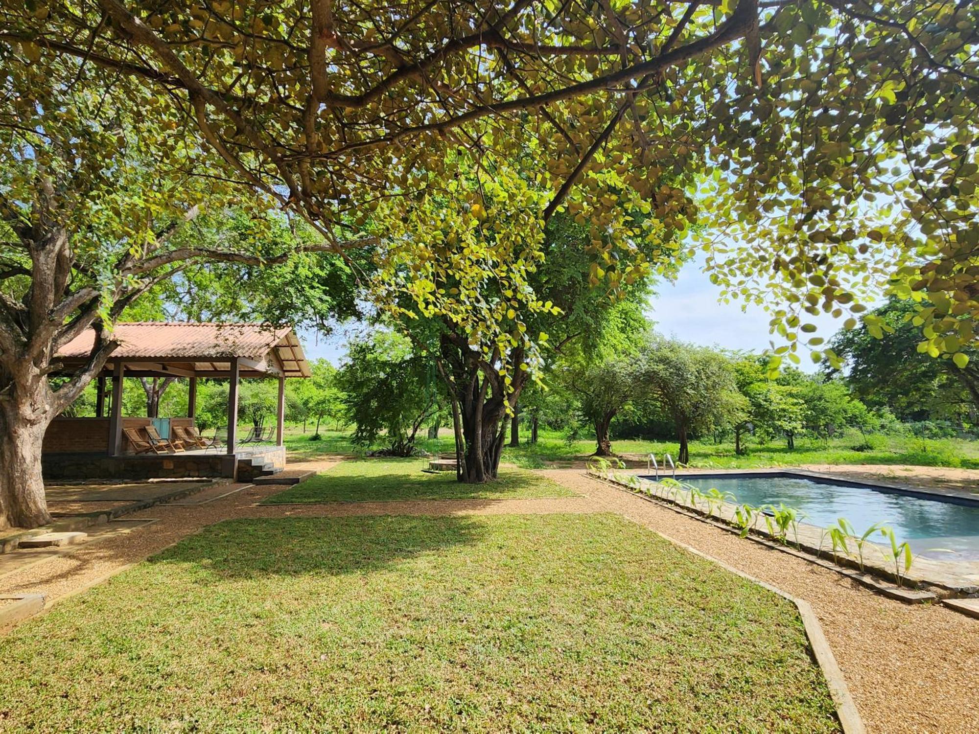 Hide Yala Bed & Breakfast ทิซซามาฮารามา ภายนอก รูปภาพ