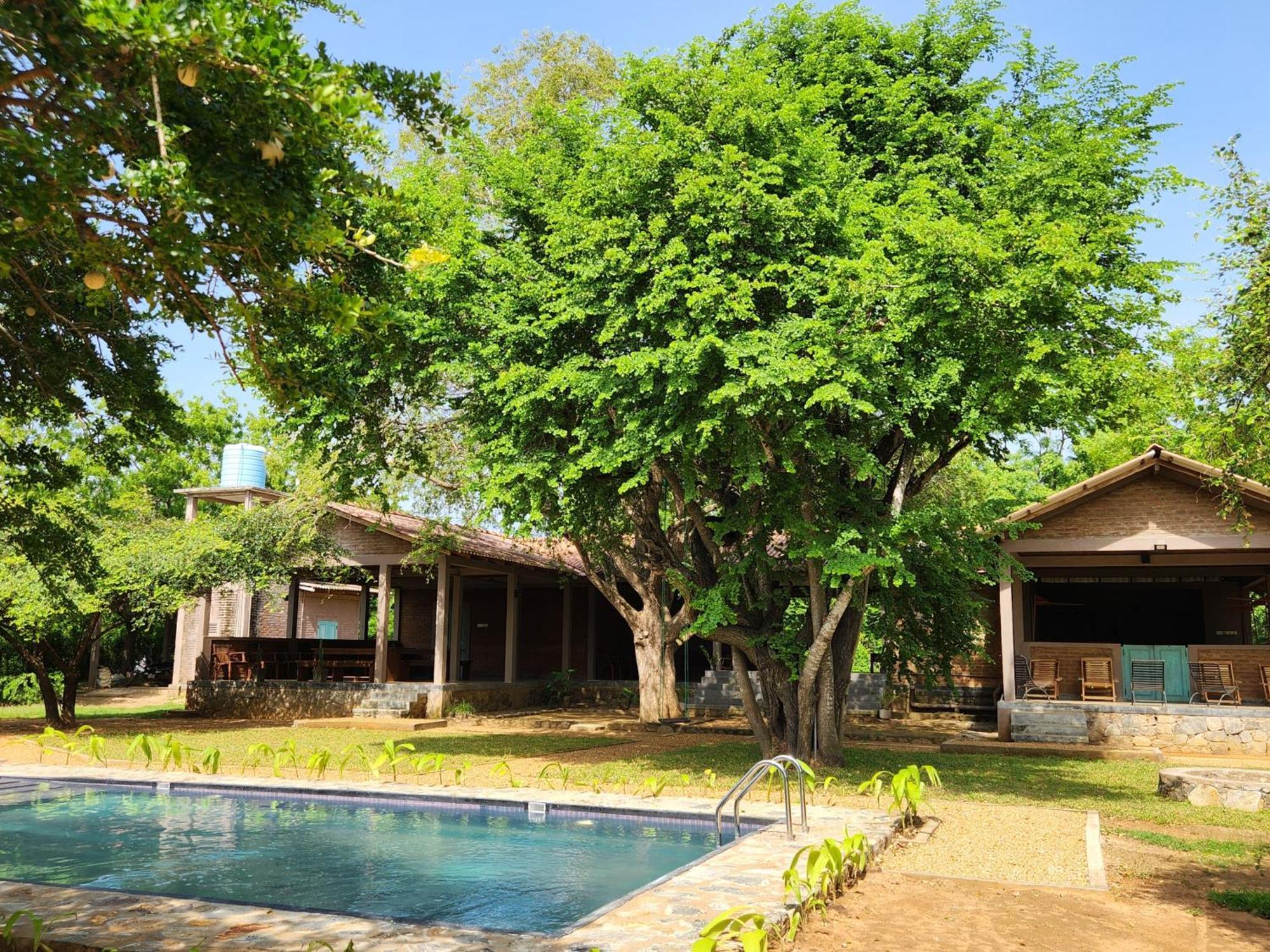 Hide Yala Bed & Breakfast ทิซซามาฮารามา ภายนอก รูปภาพ