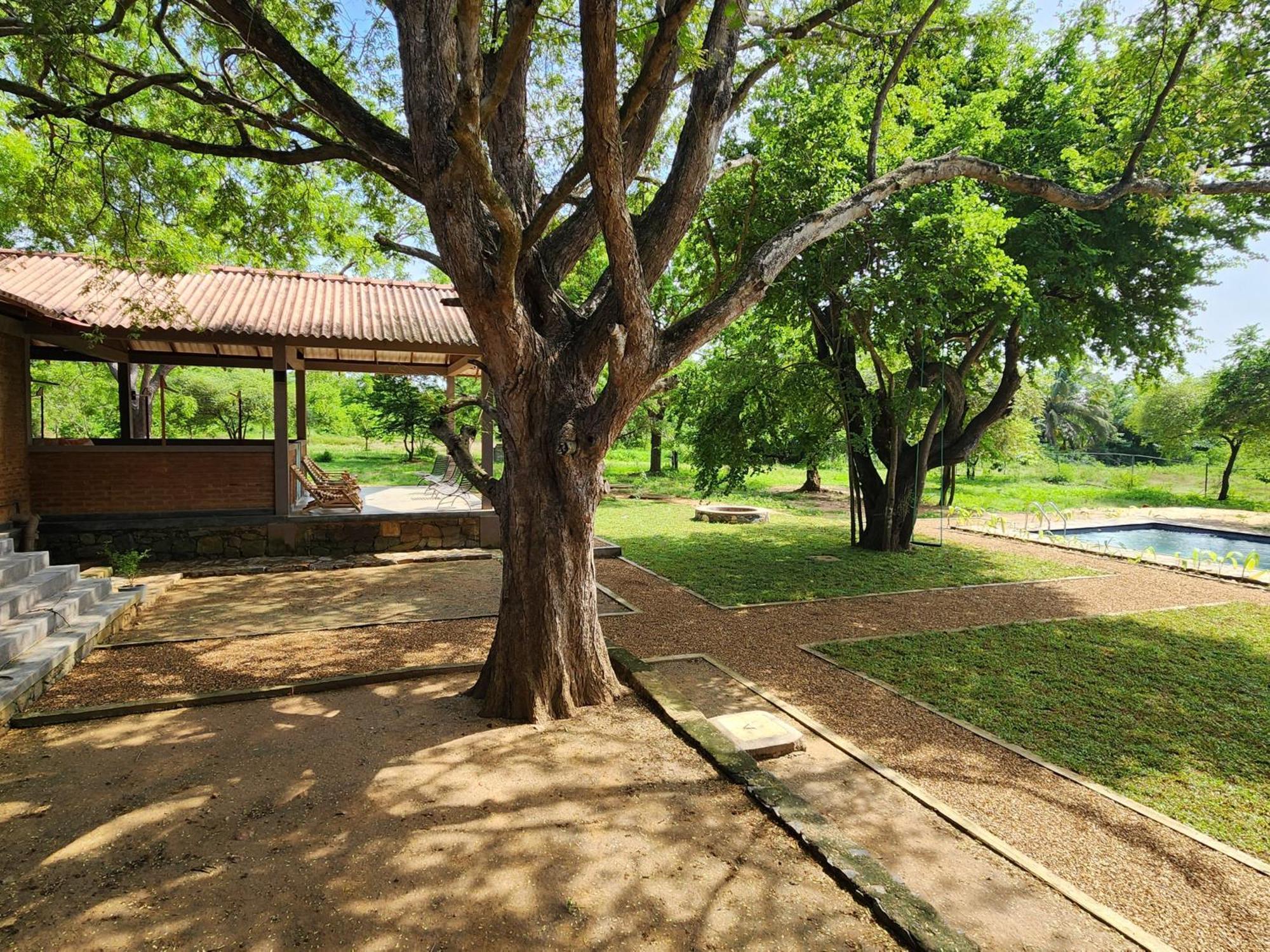 Hide Yala Bed & Breakfast ทิซซามาฮารามา ภายนอก รูปภาพ