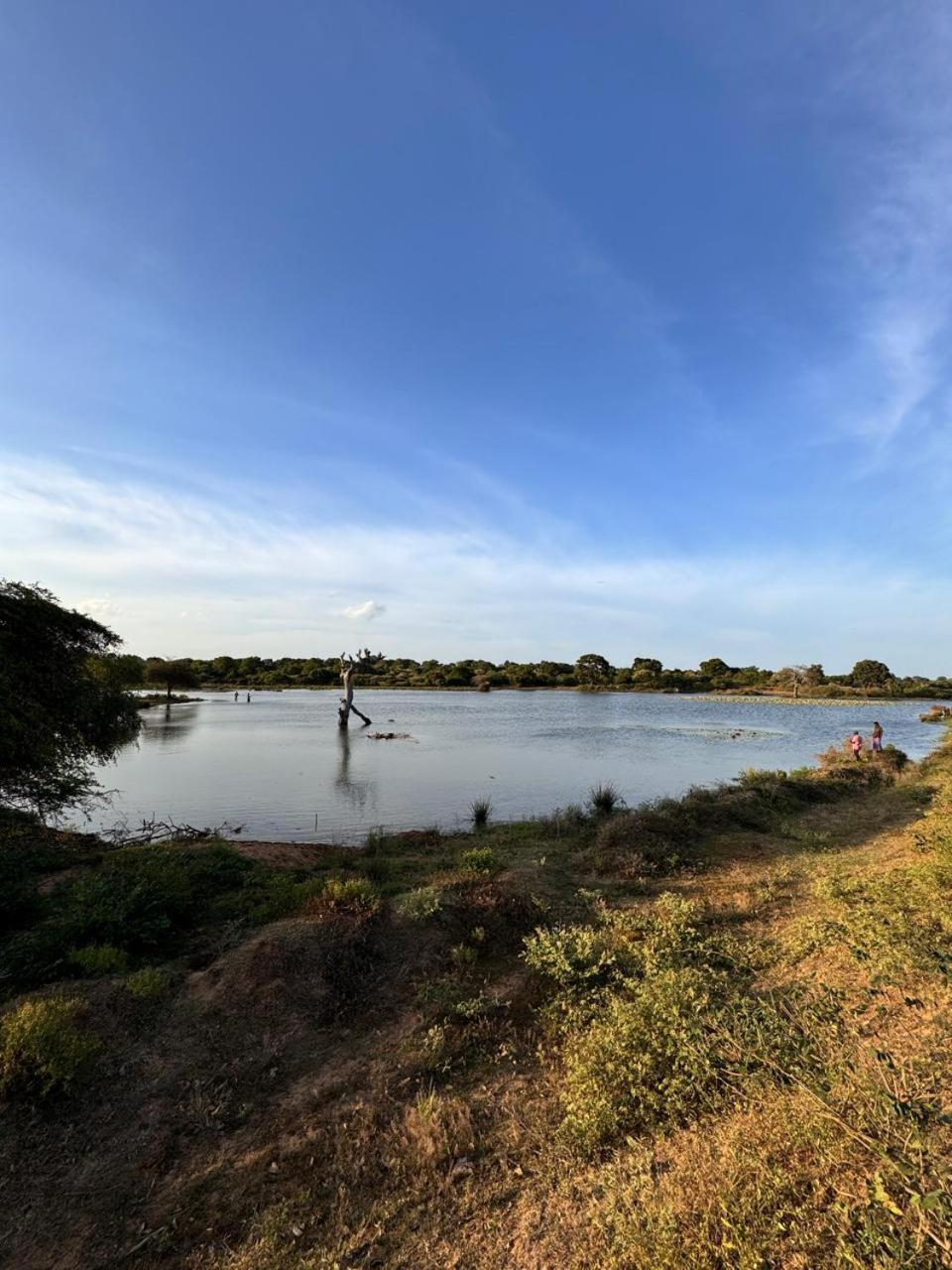 Hide Yala Bed & Breakfast ทิซซามาฮารามา ภายนอก รูปภาพ